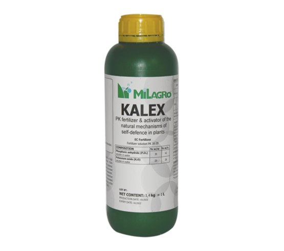 کلکس  (Kalex)